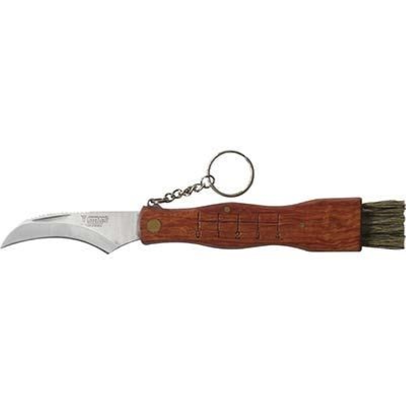 Coltello Per Funghi De Luca + Spazzolino - immagine 2
