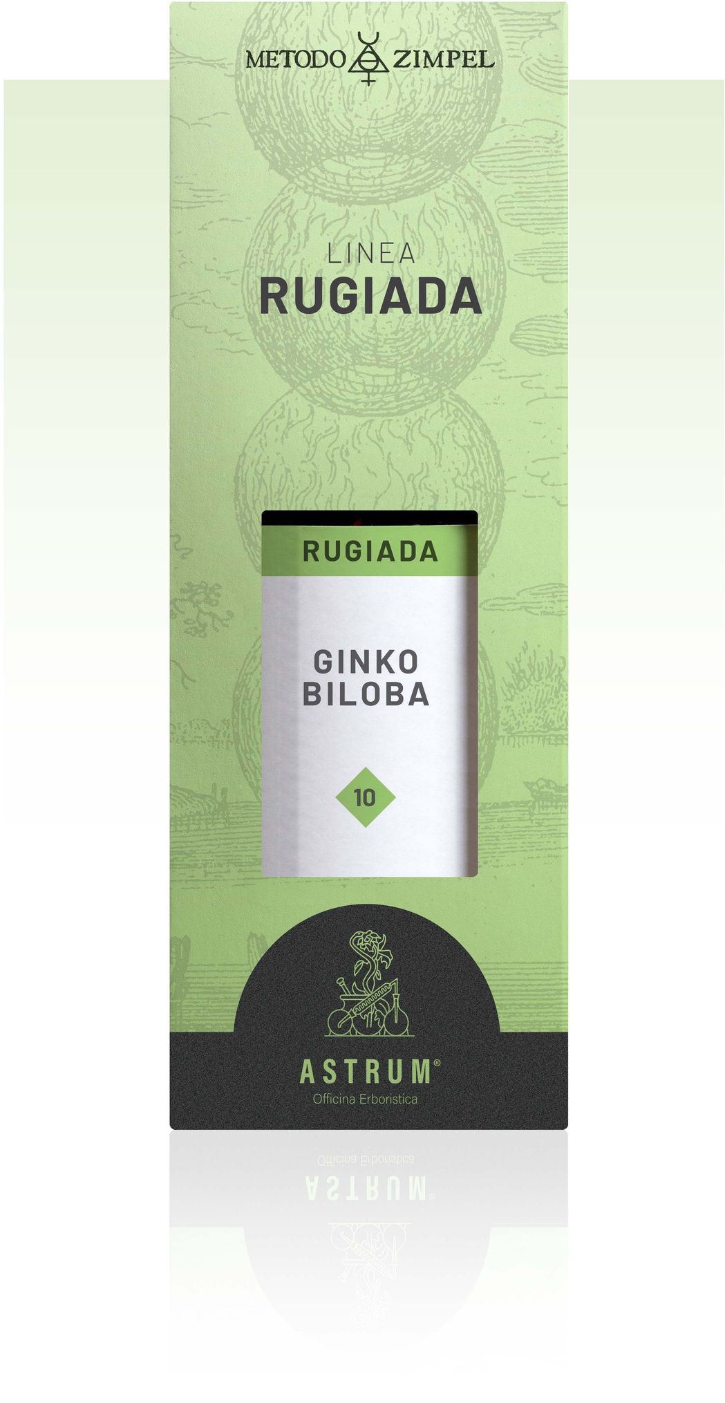 Ginkgo Biloba Rugiada